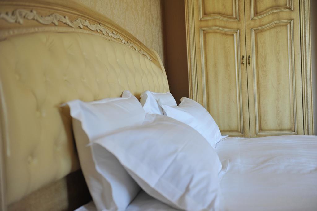 斯塔拉扎戈拉百乐酒店 旧扎戈拉 客房 照片 Pillows on a bed