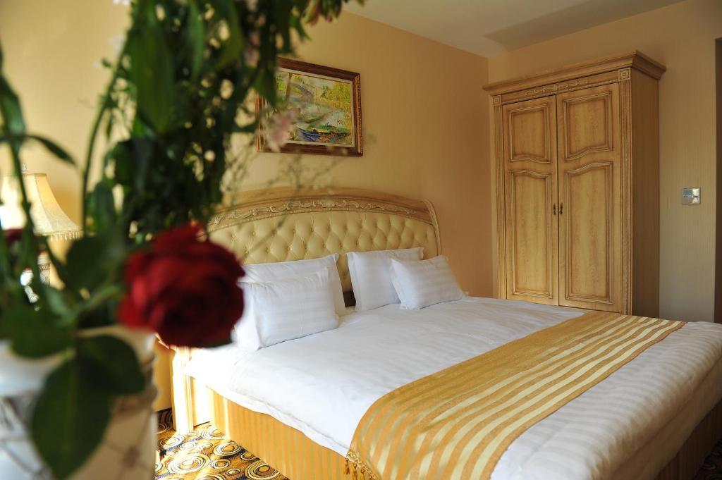 斯塔拉扎戈拉百乐酒店 旧扎戈拉 客房 照片 A bedroom in a hotel